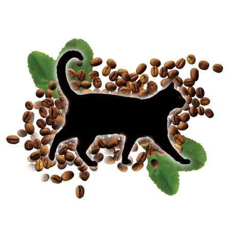 Black Cat Vegan Cafe